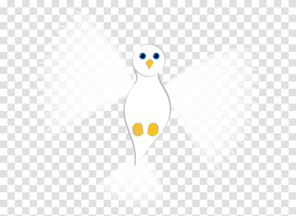 White Flying Dove No Background Asteroid 2002, Bird, Animal, Puffin, Penguin Transparent Png