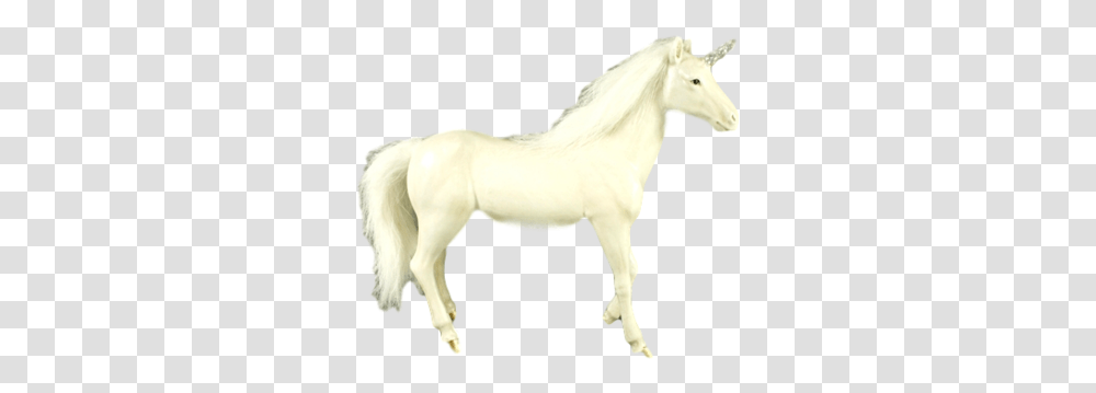 White Gold Unicorn Fictional Character, Horse, Mammal, Animal, Colt Horse Transparent Png