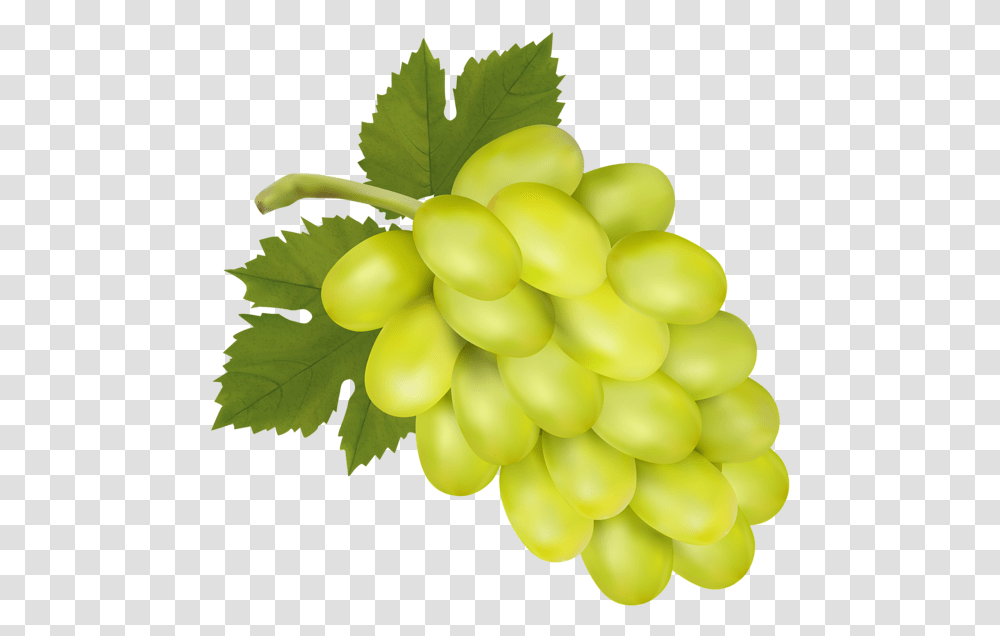 White Grape Clip Art Image Green Grapes Clip Art, Plant, Fruit, Food Transparent Png