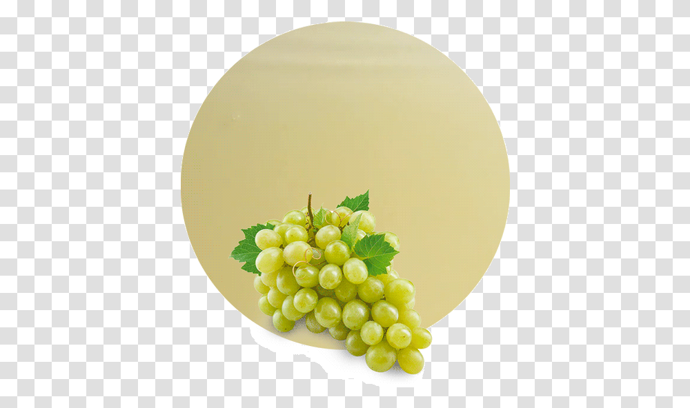 White Grape, Plant, Grapes, Fruit, Food Transparent Png