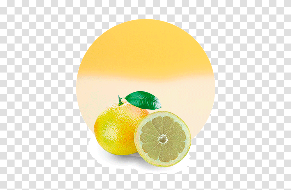 White Grapefruit Juice Concentrate, Citrus Fruit, Plant, Food, Lemon Transparent Png