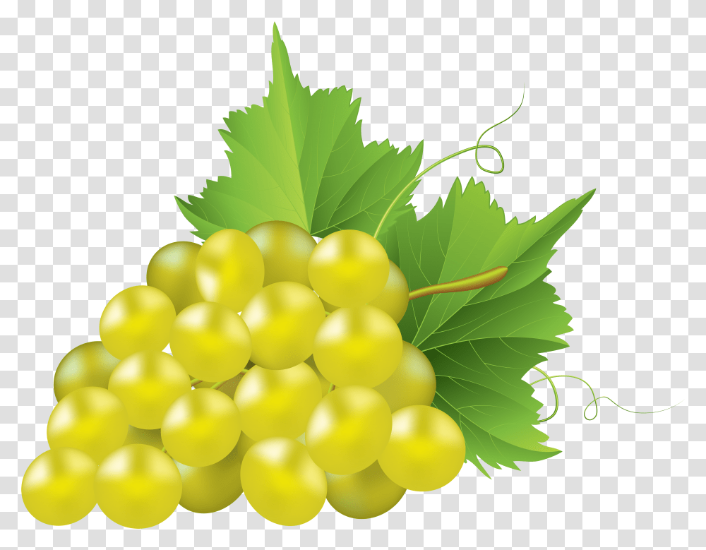 White Grapes Clip Library Files White Grape Transparent Png