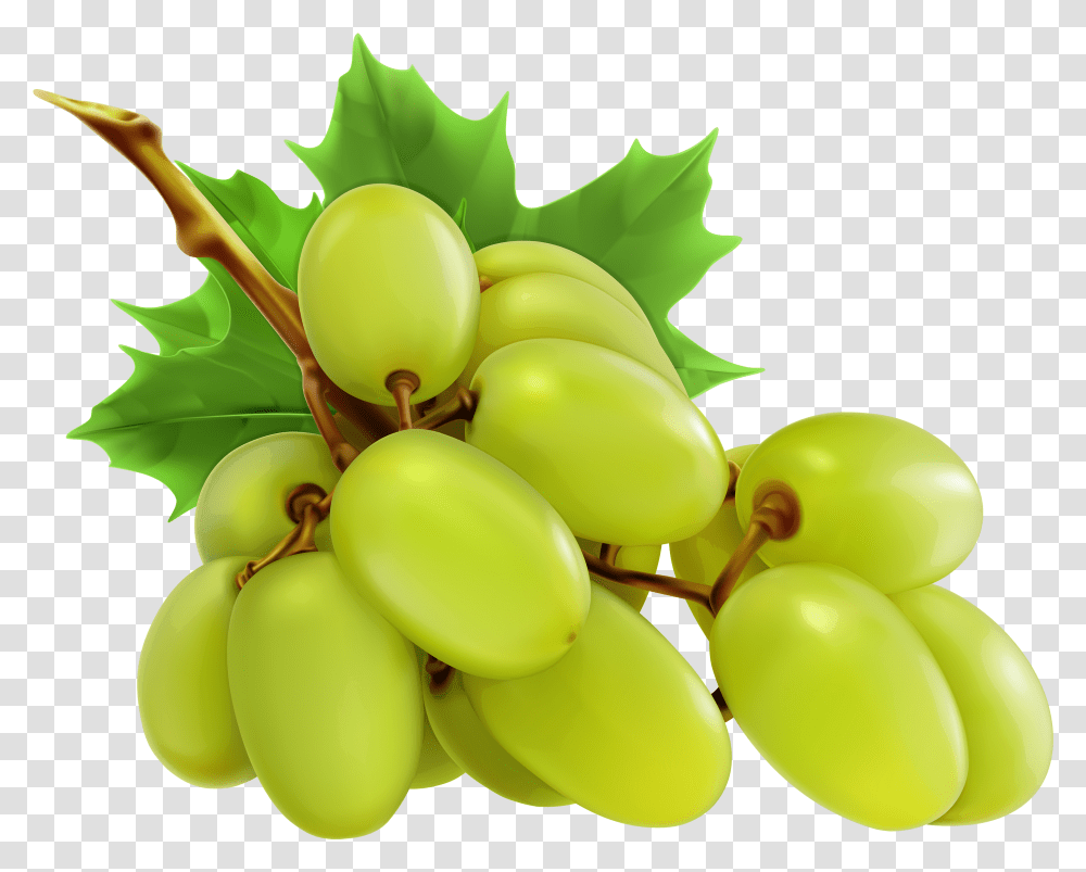 White Grapes Clipart Grapes Clipart, Plant, Fruit, Food Transparent Png