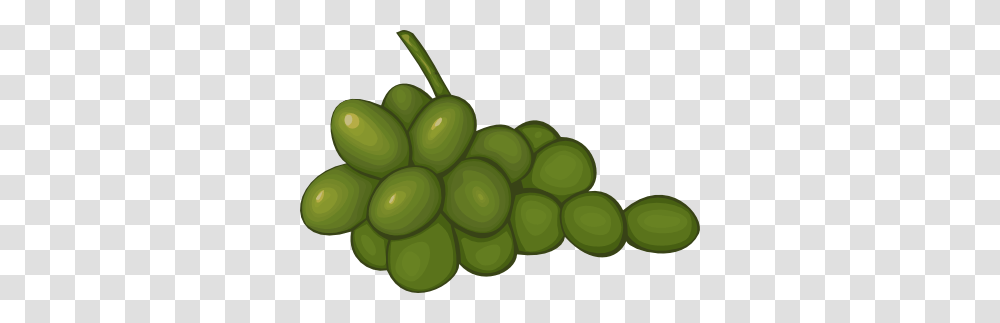 White Grapes Cliparts, Plant, Fruit, Food, Toy Transparent Png