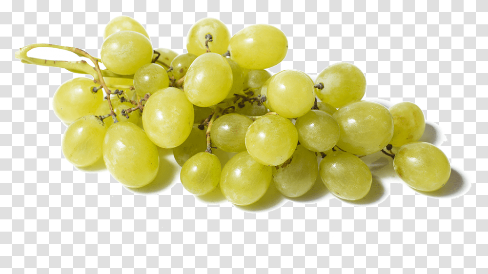White Grapes, Plant, Fruit, Food Transparent Png