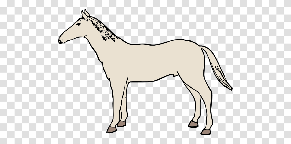 White Horse Clipart, Colt Horse, Mammal, Animal, Foal Transparent Png