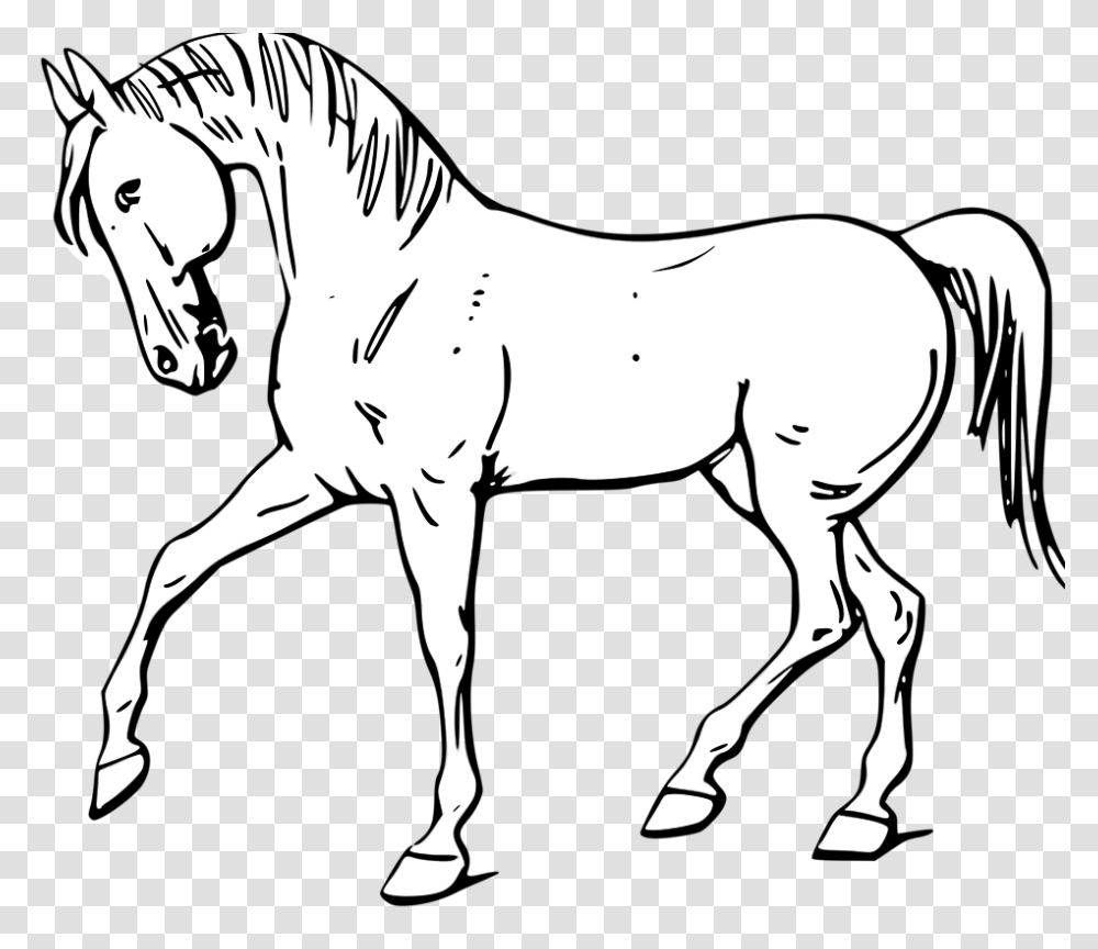 White Horse Clipart, Colt Horse, Mammal, Animal, Foal Transparent Png