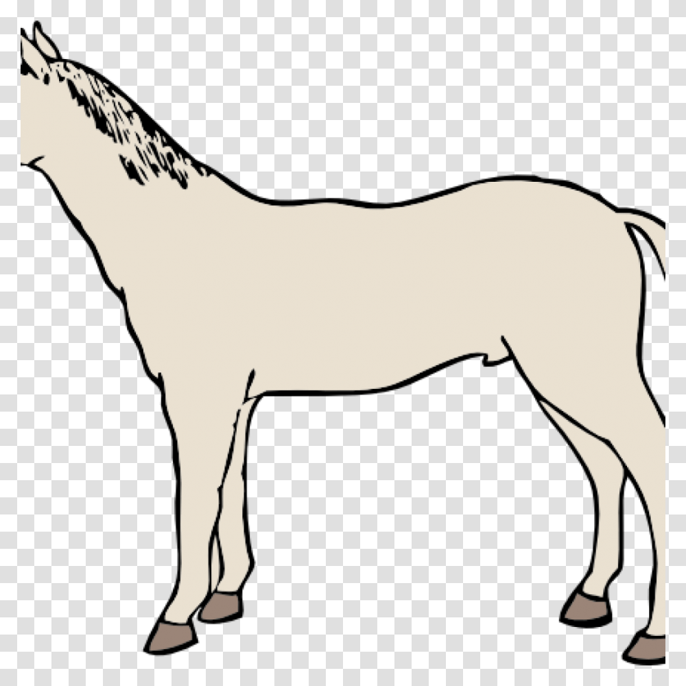 White Horse Clipart Free Clipart Download, Mammal, Animal, Foal, Colt Horse Transparent Png