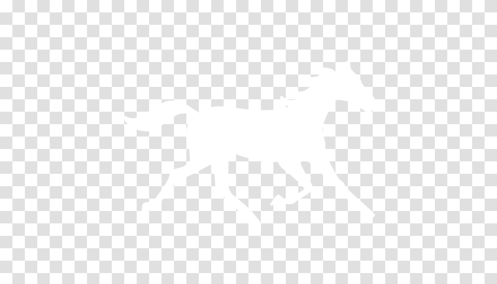 White Horse Icon, Mammal, Animal, Foal, Colt Horse Transparent Png