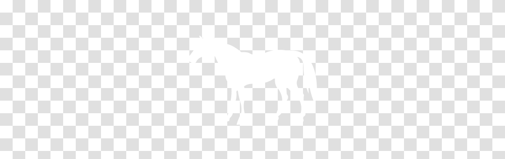White Horse Icon, Texture, White Board, Apparel Transparent Png