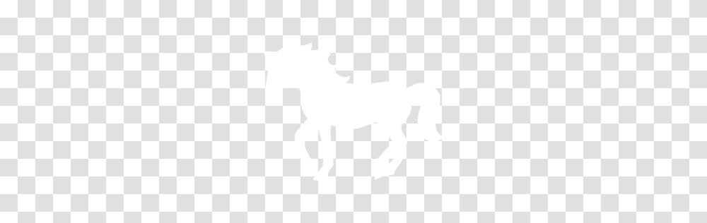 White Horse Icon, Texture, White Board, Apparel Transparent Png