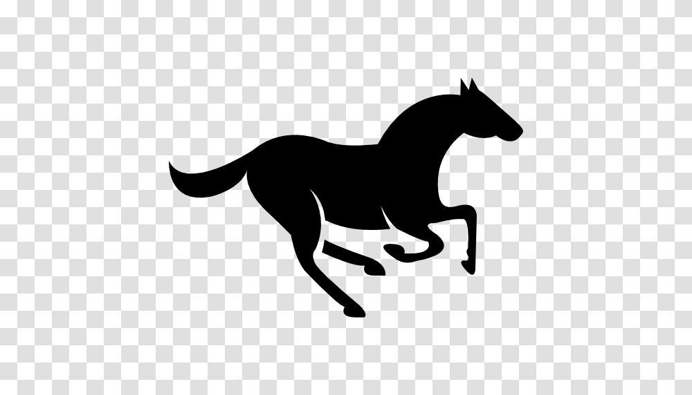 White Horse, Mammal, Animal, Silhouette, Dog Transparent Png