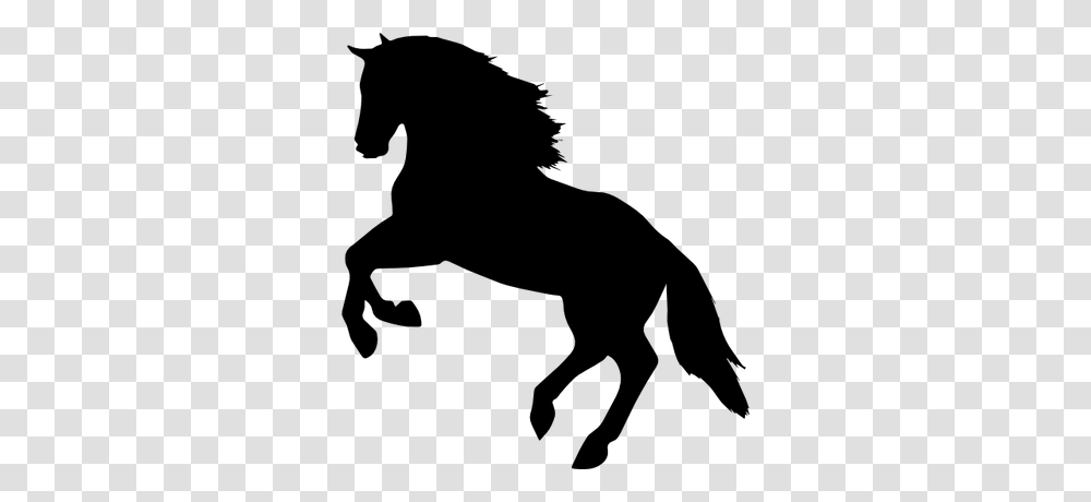 White Horse, Silhouette, Mammal, Animal, Colt Horse Transparent Png