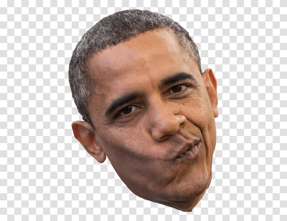 White House Barack Obama 2013 Presidential Inauguration Barack Obama Head, Face, Person, Dimples, Smile Transparent Png