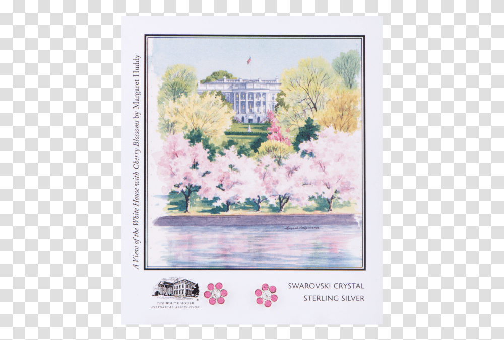 White House Cherry Blossoms Watercolor, Plant, Flower, Painting Transparent Png