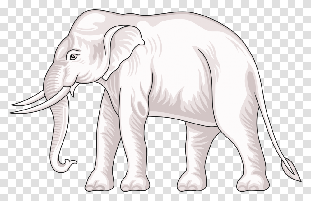 White Indian Elephant, Wildlife, Animal, Mammal Transparent Png