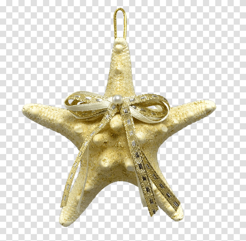 White Knobby Starfish Christmas Holidays Ornaments Pendant, Sea Life, Animal, Invertebrate, Cross Transparent Png