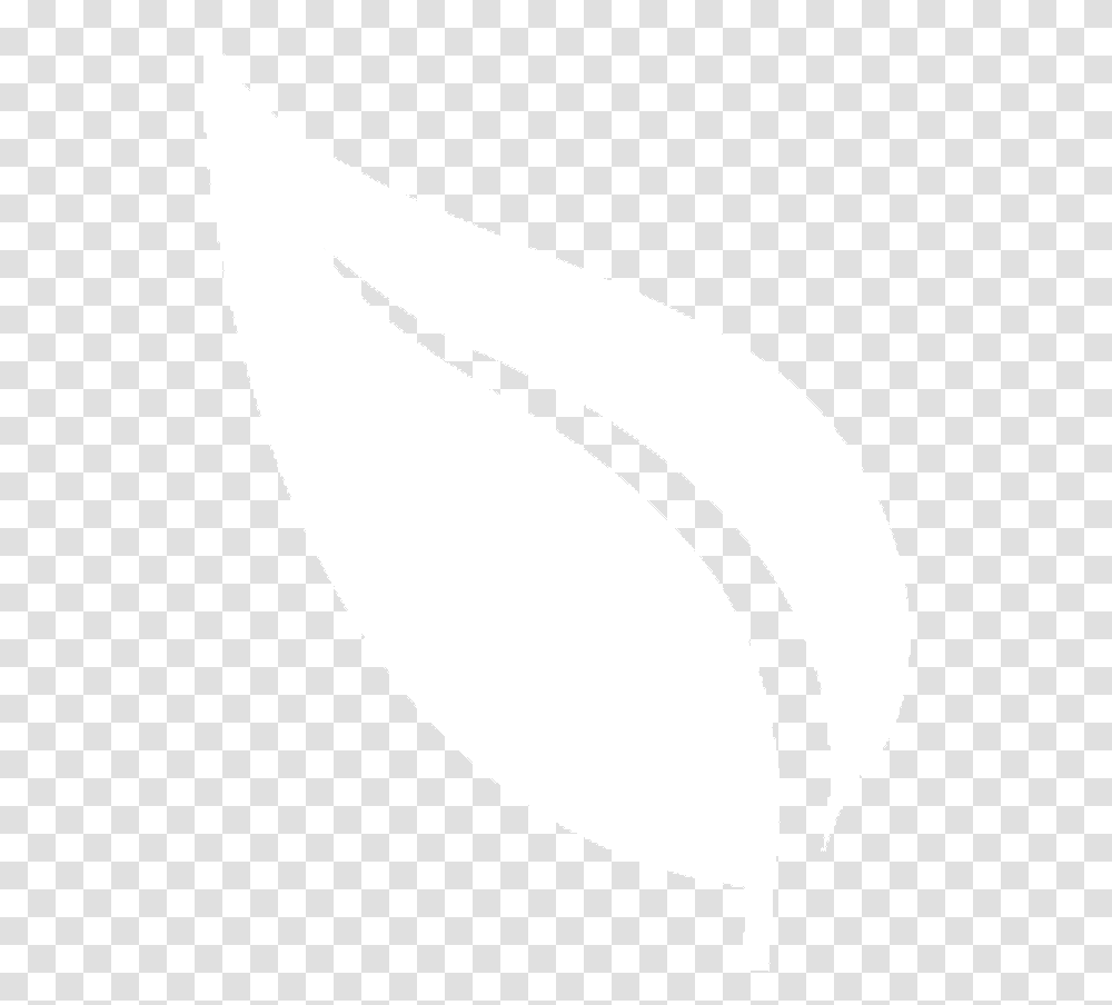 White Leaf, Plant, Produce, Food, Seed Transparent Png