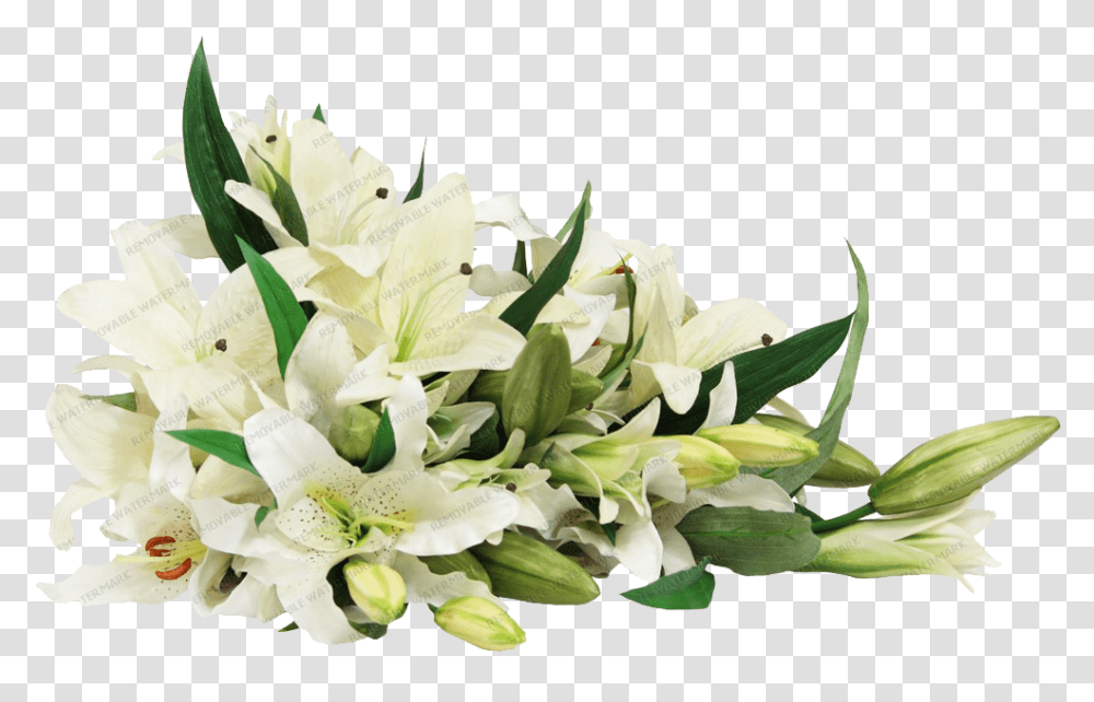 White Lilies Flower, Plant, Blossom, Flower Bouquet, Flower Arrangement Transparent Png