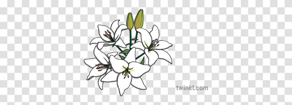 White Lillies Religion Science Flowers Angel Of The North Line Drawing, Plant, Blossom, Graphics, Art Transparent Png