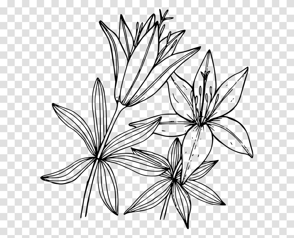 White Lily Flower Clipart Lily Coloring Pages, Gray, World Of Warcraft Transparent Png