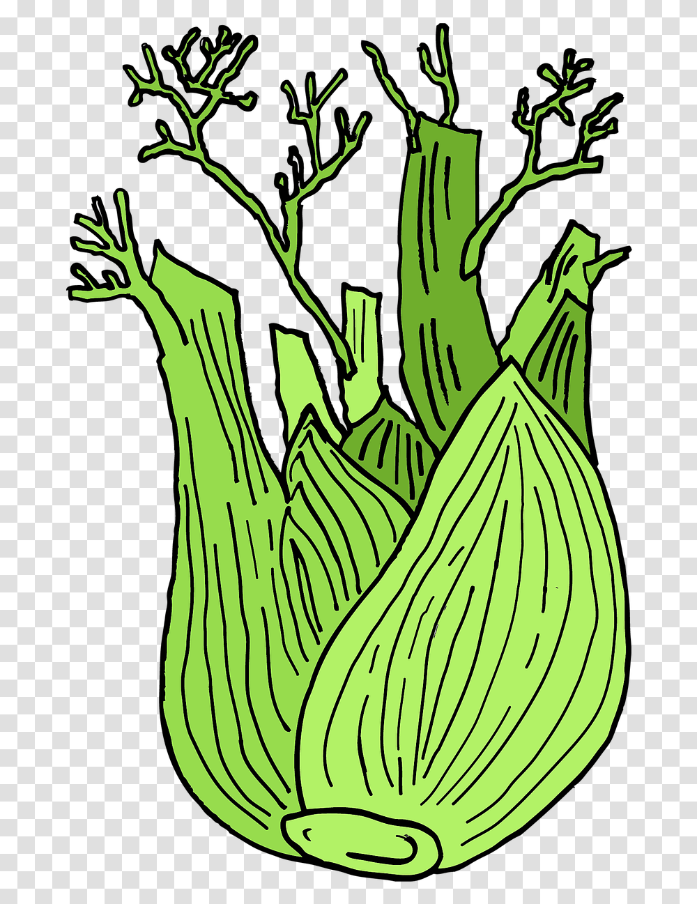 White Line Fennel Cartoon, Plant, Vegetable, Food, Banana Transparent Png