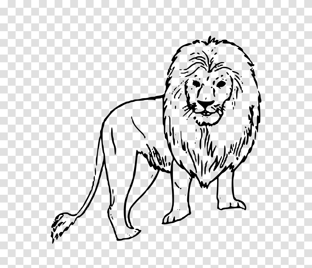 White Lion Clipart Vintage, Gray, World Of Warcraft Transparent Png