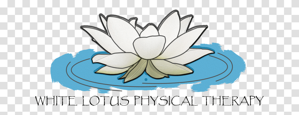 White Lotus Physical Therapy Sacred Lotus, Flower, Plant, Blossom, Art Transparent Png