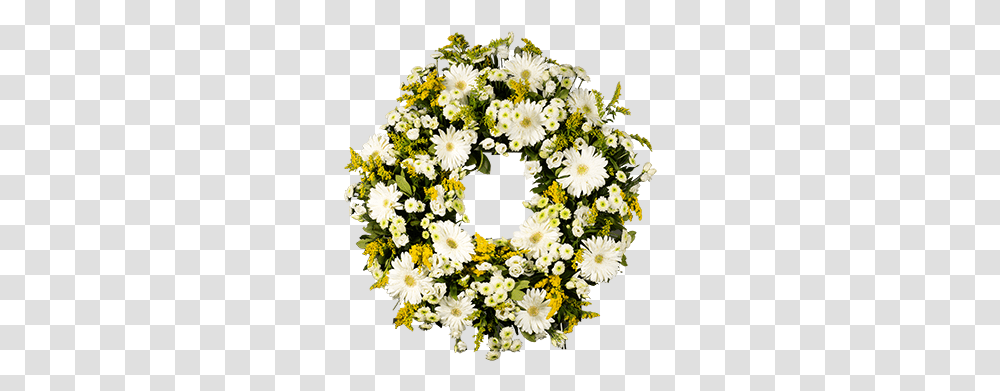 White Medium Gerberas Wreath Chamomile, Plant, Flower, Blossom, Flower Arrangement Transparent Png