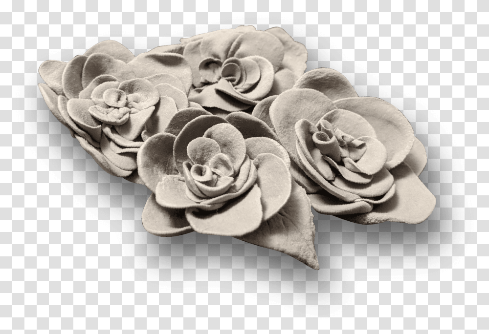 White Mexican Rose, Flower, Plant, Blossom Transparent Png