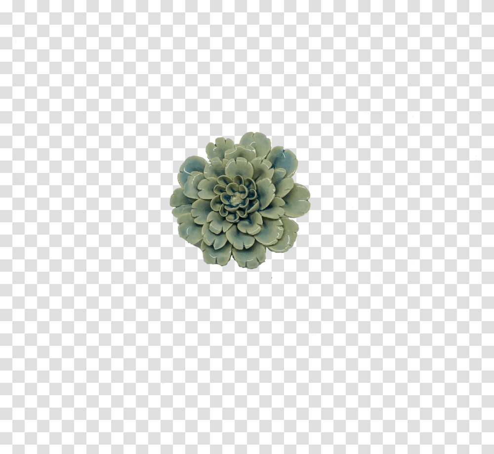 White Mexican Rose, Pattern, Fractal, Ornament, Astronomy Transparent Png