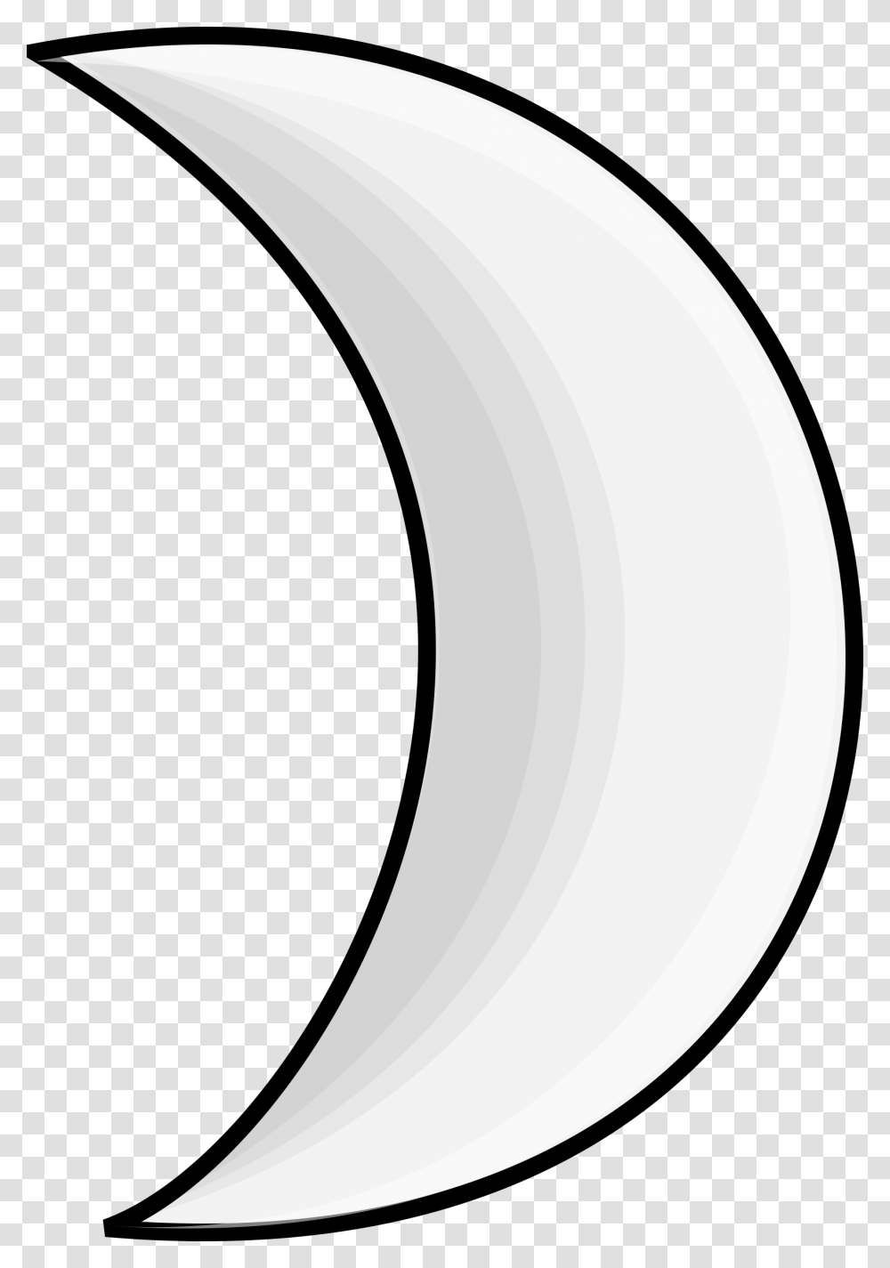 White Moon Vector, Outdoors, Nature, Plant, Astronomy Transparent Png