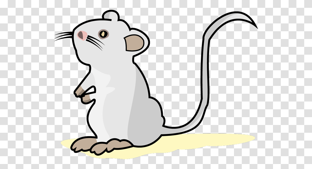 White Mouse Cartoon, Mammal, Animal, Wildlife, Label Transparent Png