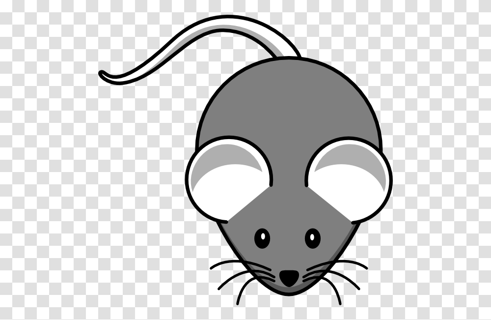 White Mouse Grey Body Clip Arts For Web, Animal, Rat, Rodent, Mammal Transparent Png