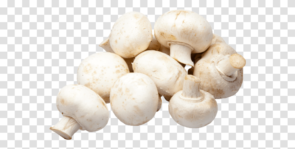White Mushrooms Champignons Hd, Egg, Food, Plant, Fungus Transparent Png