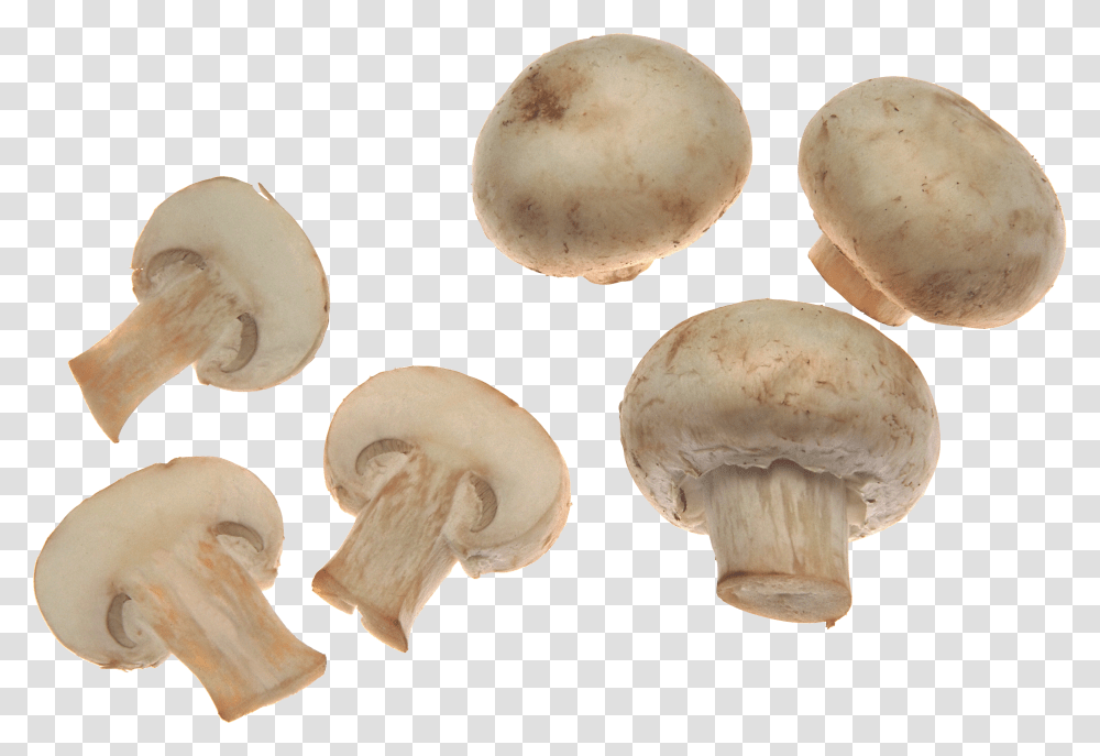White Mushrooms Image Mushroom, Plant, Fungus, Agaric, Amanita Transparent Png