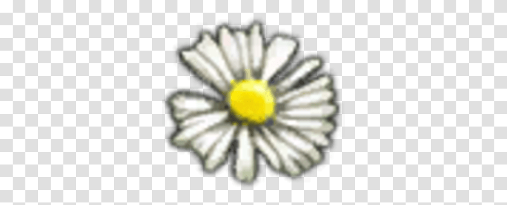 White Myrtle Petals Witcher Wiki Fandom Petal, Daisy, Flower, Plant, Daisies Transparent Png