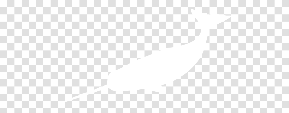 White Narwhal Clip Art, Texture, White Board, Apparel Transparent Png