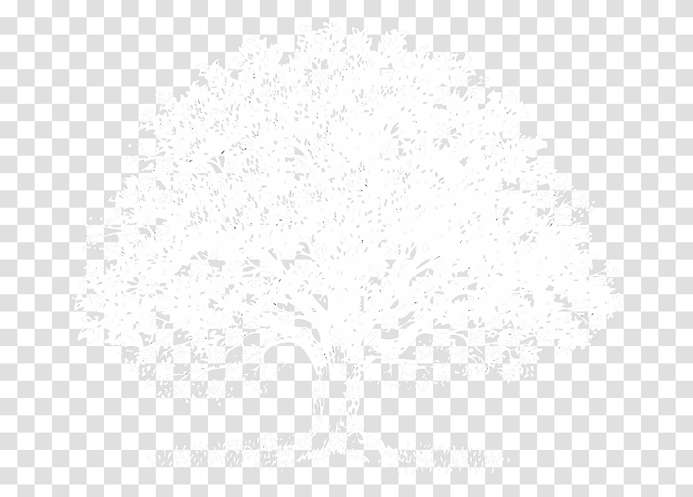 White On Memorial Funeral Oaks Tree, Plant, Stencil, Flower, Blossom Transparent Png