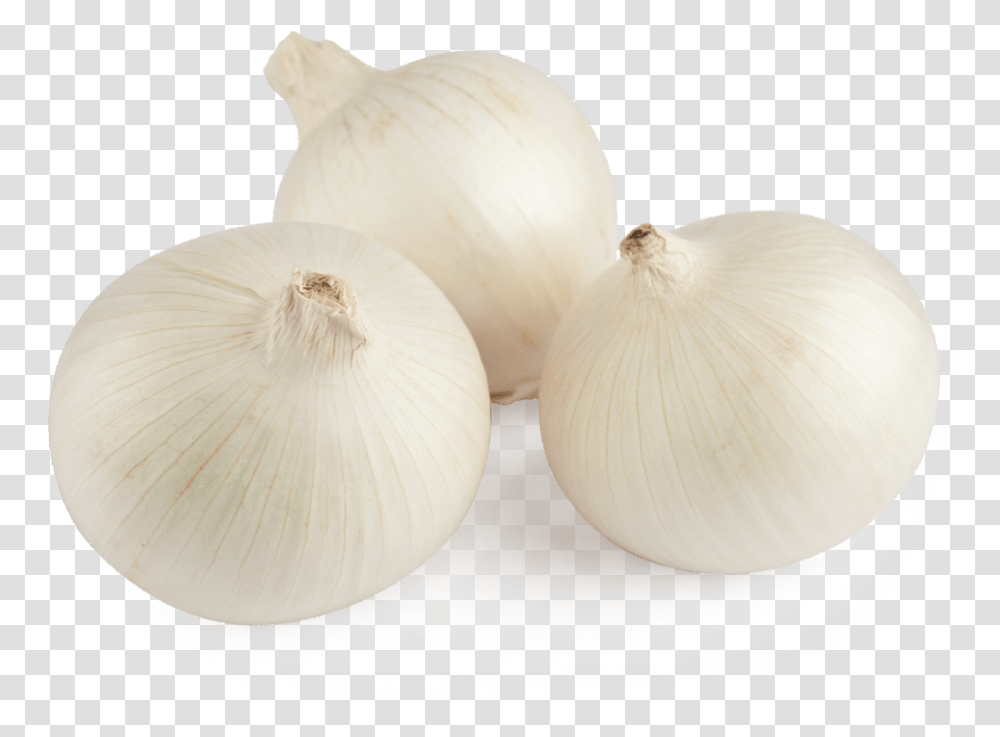 White Onion Cebolla Blanca, Plant, Vegetable, Food, Shallot Transparent Png