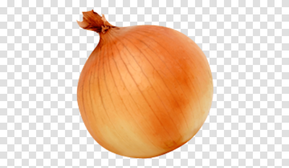 White Onion Yellow Onion Vegetable Background Onion, Plant, Shallot, Food, Balloon Transparent Png