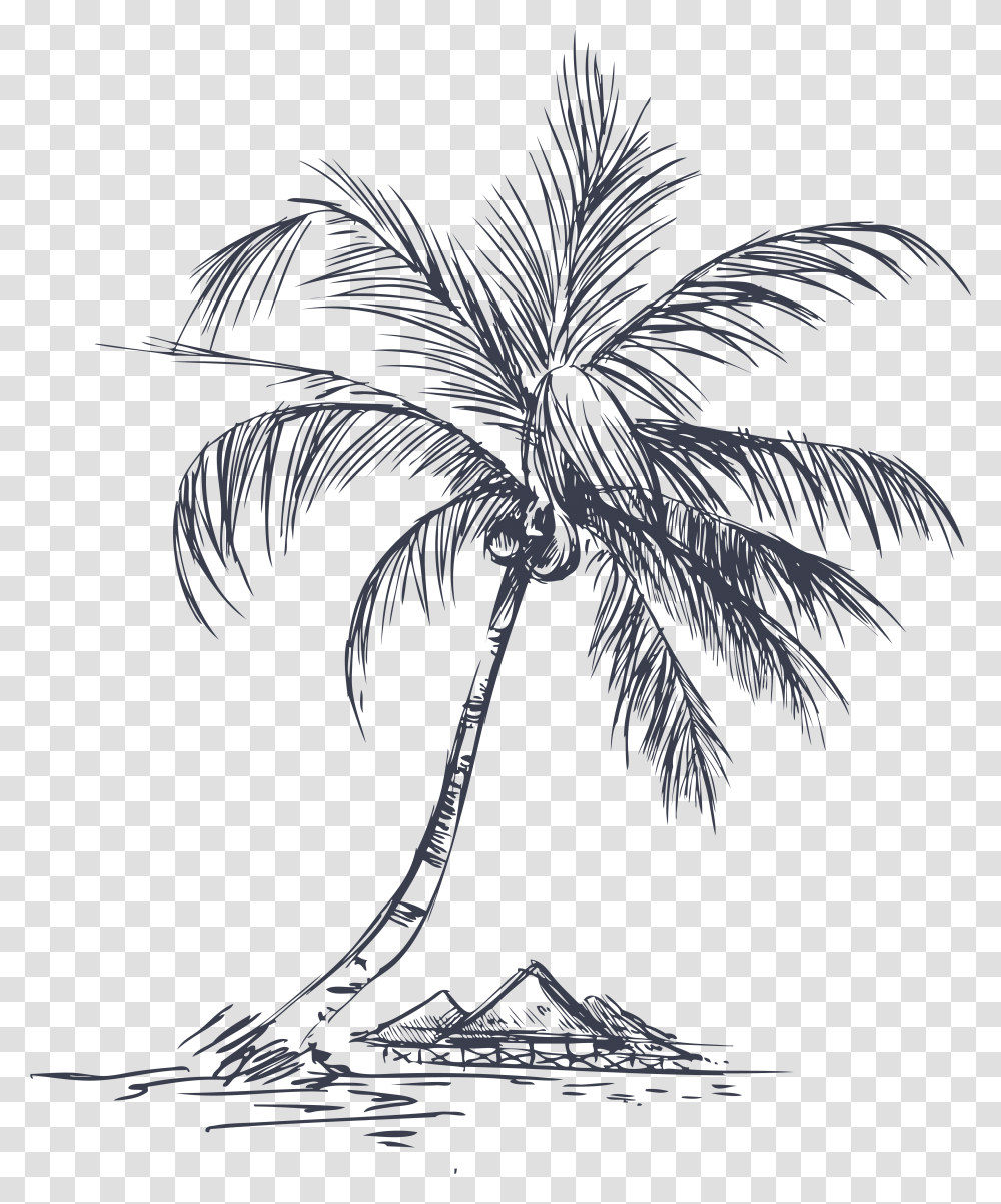 White Palm Tree Drawing Detail Palm Tree Coconut Palm Tree Line Drawing, Plant, Arecaceae, Bird, Animal Transparent Png
