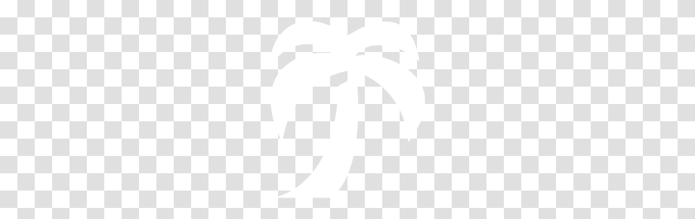 White Palm Tree Icon, Texture, White Board, Apparel Transparent Png