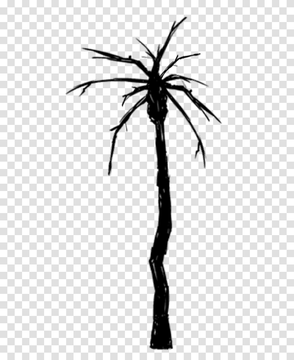 White Palm Tree Movieweb, Gray, World Of Warcraft Transparent Png