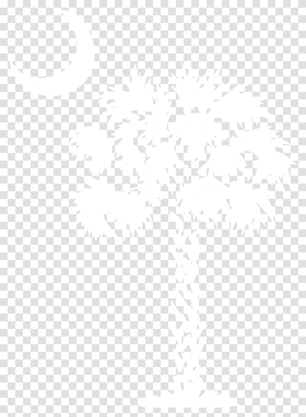 White Palm Tree With Background, Plant, Stencil, Cross Transparent Png