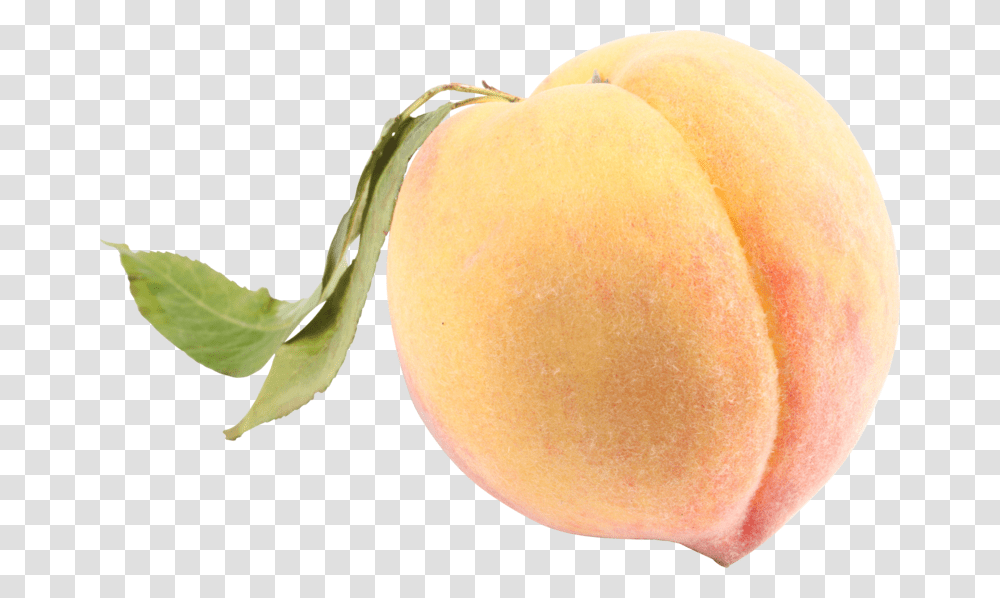 White Peach, Plant, Fruit, Food, Produce Transparent Png