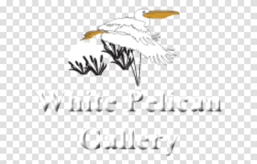 White Pelican Gallery Logo Seabird, Eagle, Animal, Vulture, Beak Transparent Png