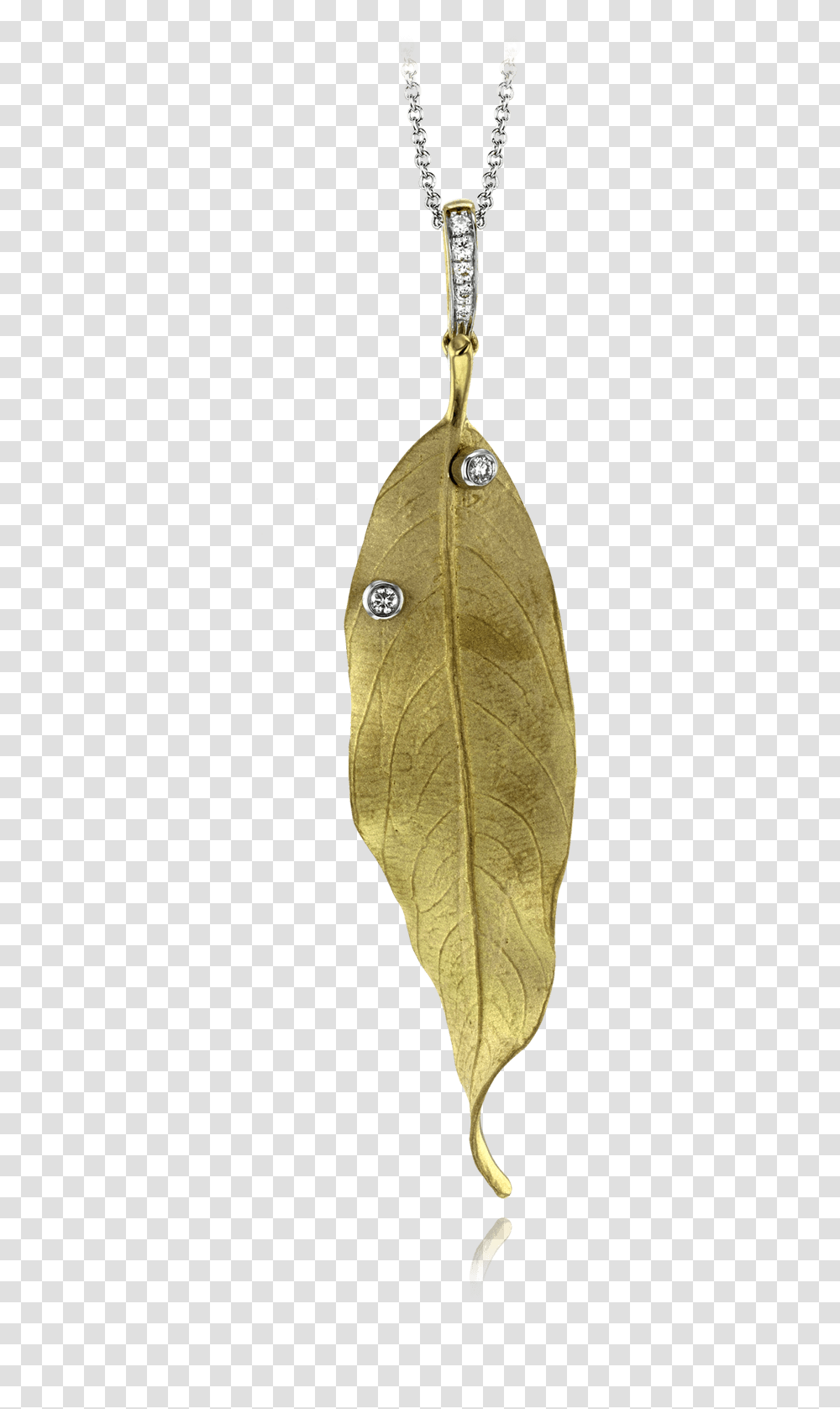 White Pendant Locket, Leaf, Plant, Bronze, Gold Transparent Png