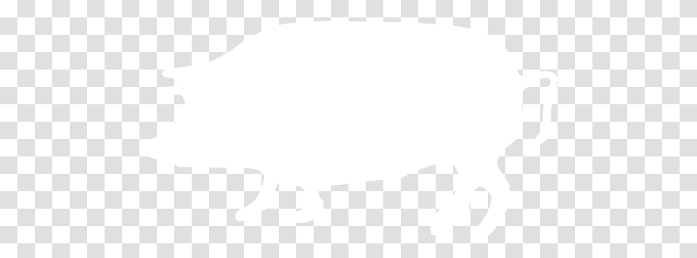 White Pig, Texture, White Board, Apparel Transparent Png