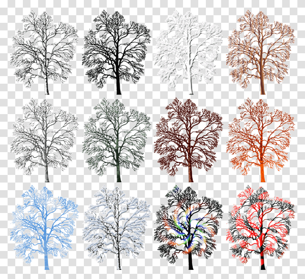 White Pine, Snowflake, Rug, Pattern Transparent Png